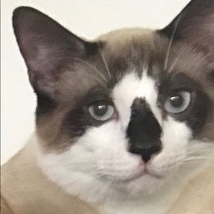 Meet your Posher, Kathykathy